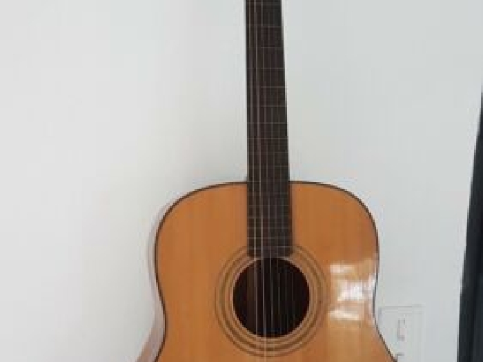 Guitare avec étui
