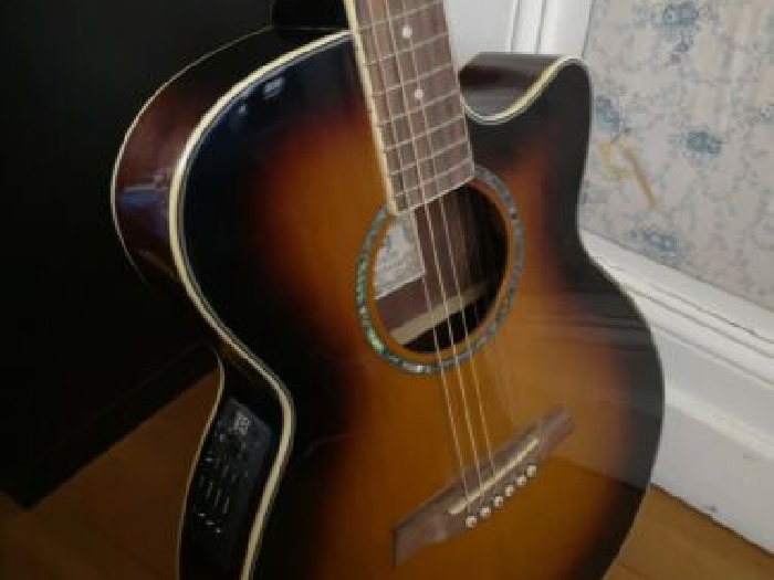 Ibanez Guitare électro-acoustique AEG10EVS1202