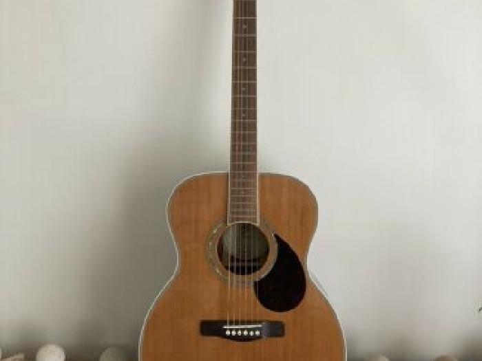 Samick Greg Bennett OM-7 Guitar 