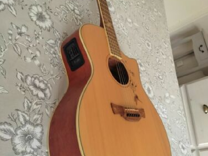 Guitare Crafter Twin Birds 32nd Anniversary