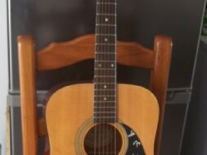 Fender acoustique DG 4