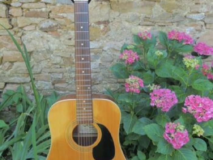guitare vintage 70' folk Hondo HOHNER France 12 cordes customiser POWER FLOWER
