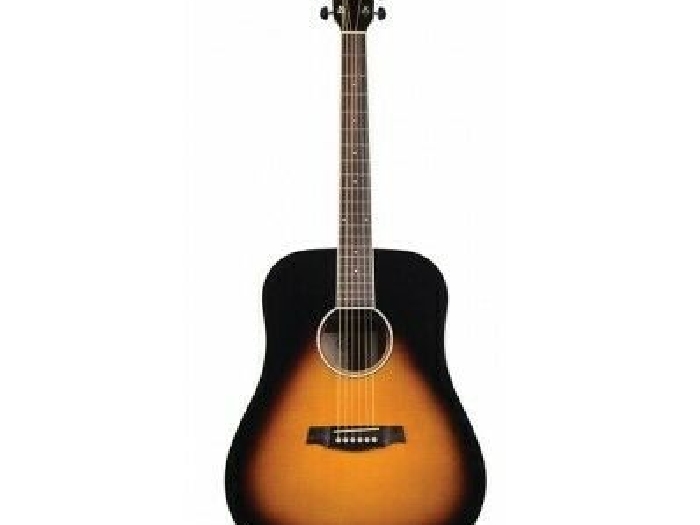 Prodipe JM Forest SD30 - Guitare Acoustique dreadnought Sunburst - Stock B