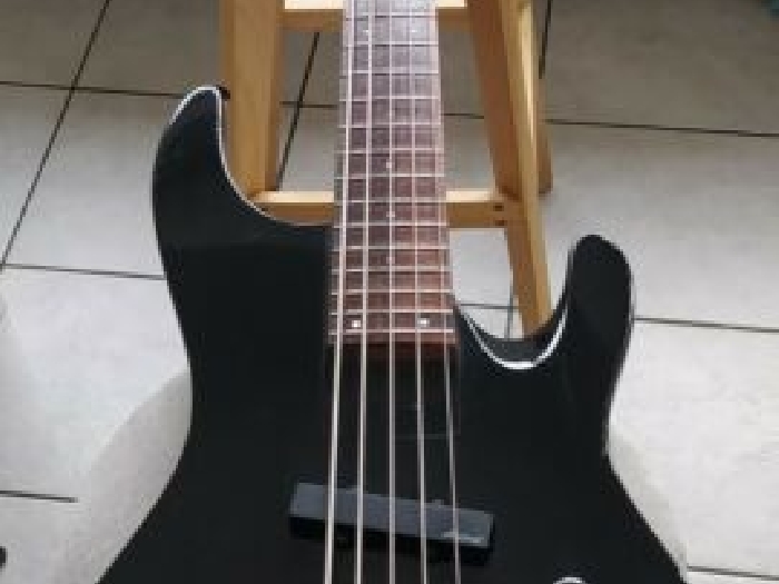 Basse Aria pro 2 Magna series