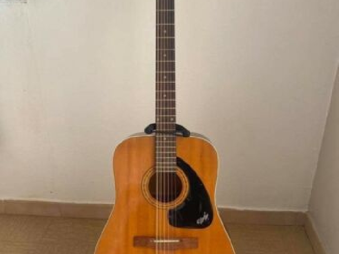 guitare acoustique vintage collection