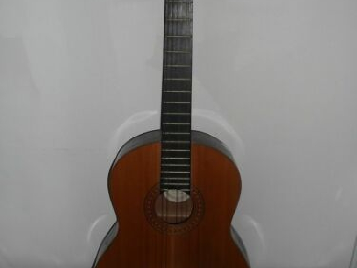 guitare SANTANA