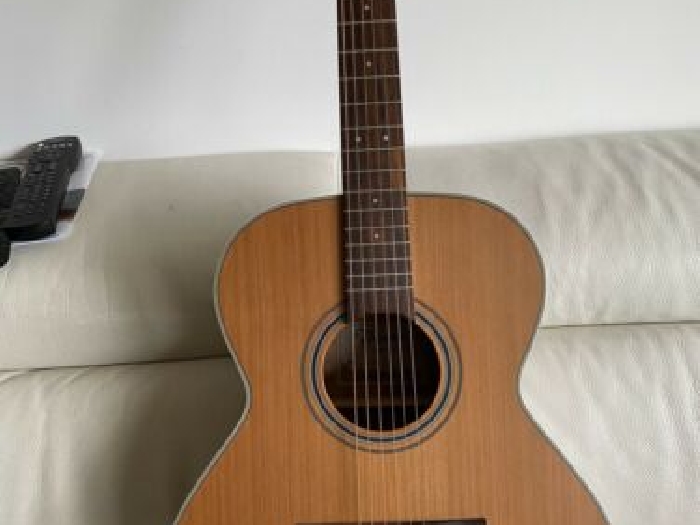 Guitare Takamine 