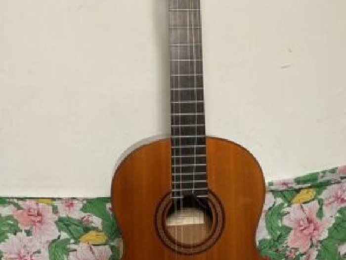 Guitare Yamaha G-231 II