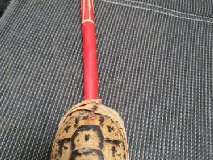 Guitare Africaine Carapace 