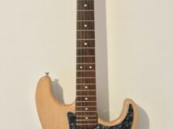 Guitare solid body luthier Camb type Stratocaster