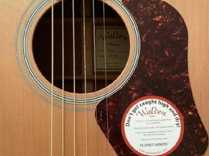 Guitare Acoustique Folk - Walden