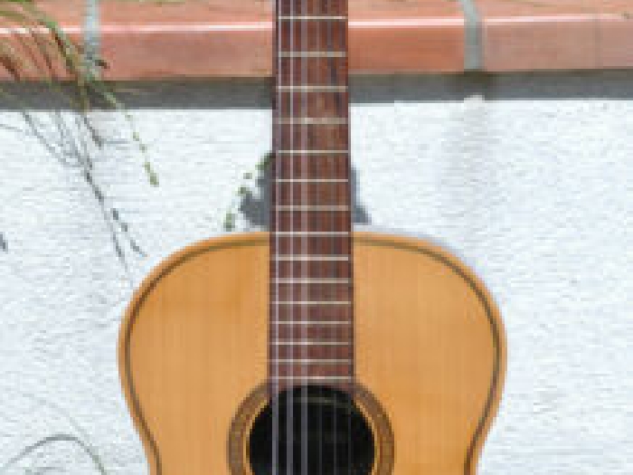 Guitare classique GIANINNI AWN 25 A made in Brésil 1973