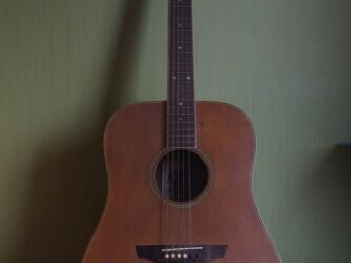GUITARE FOLK /JIM HARLEY SPRING MELODY 4 SEASONS /VINTAGE A RESTAURER