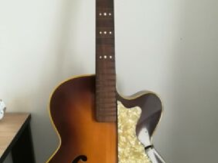 Ancienne Guitare HOFNER Vintage