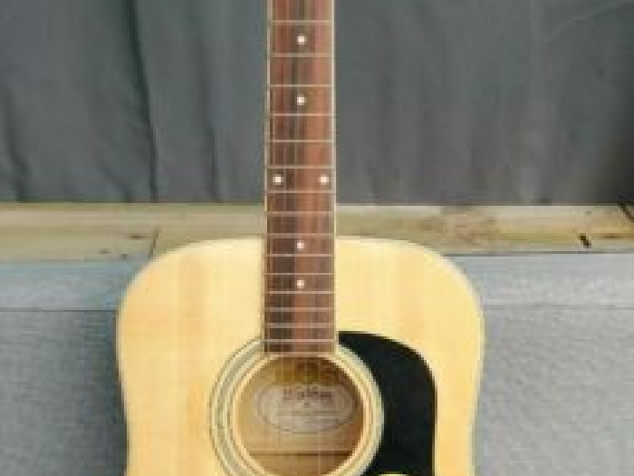 Très Belle Guitare !! Washburn D8S SC06090158 + Très Belle Housse de Protection