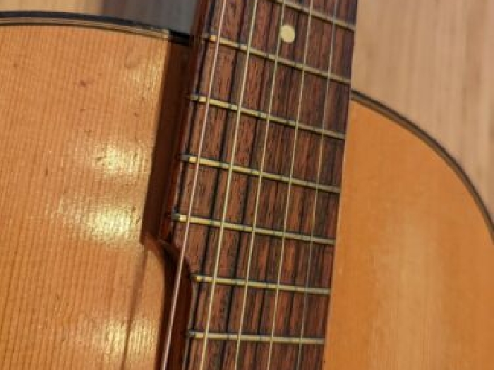 1920's - 1930's Parlor Guitar by luthier Max Sandner