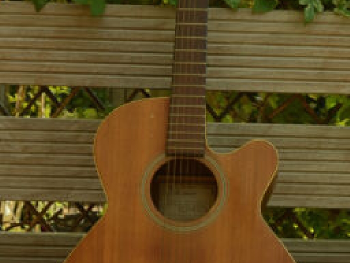Takamine Guitare Folk / électro-acoustique Modèle EGS 430 SC - série G