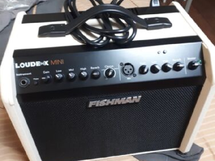 Fishman PRO-LBX-EX5- Ampli acoustique Loudbox mini bluetooth - 60W