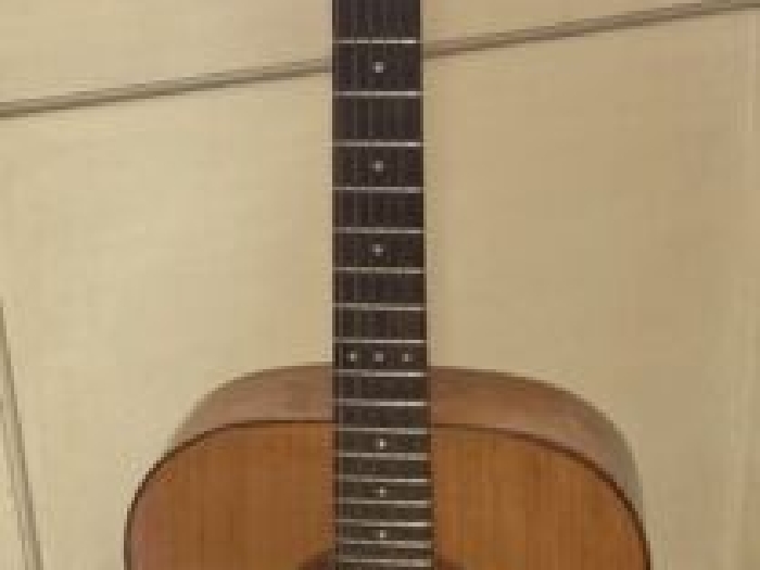 Guitare GIANNINI Brésil AWGS 716 Année 1979