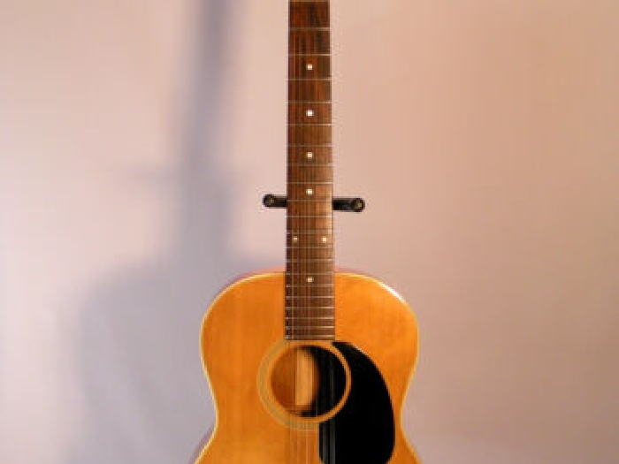 Gibson B25-12N de 1965