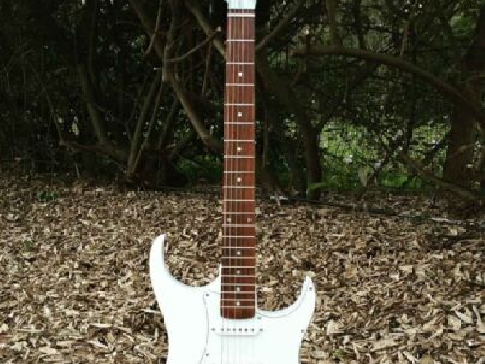 Guitare Electrique Stratocaster Custom Look Metal