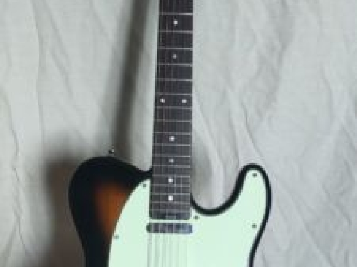 Last day here, now or Never, Guitare telecaster Levinson blade delta standard 