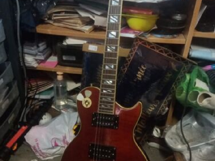 Guitare Aria Pro 2