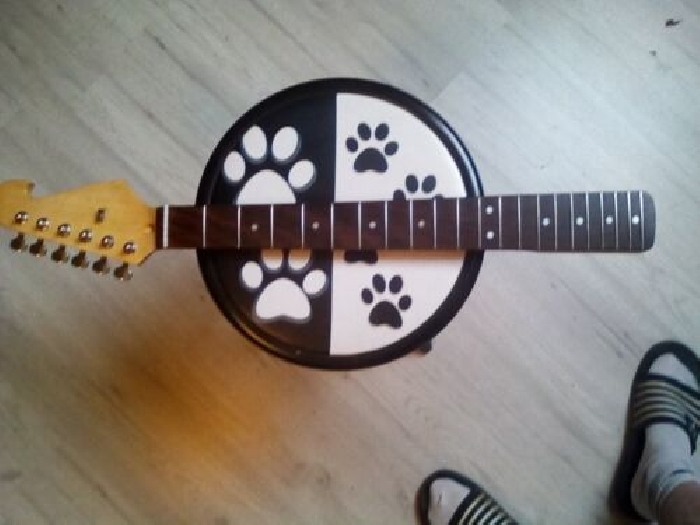 guitare electrique Manche type fender/squier stratocaster
