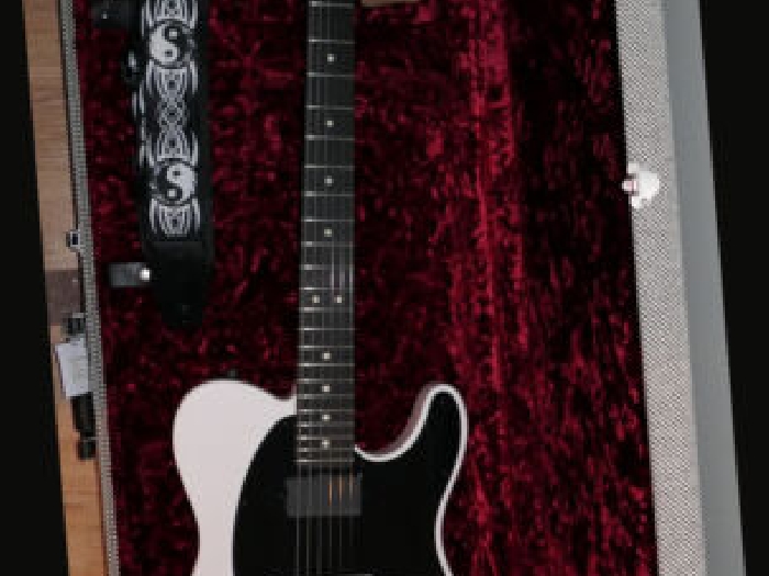 Fender Jim Root Artist Series Signature Telecaster Flat White