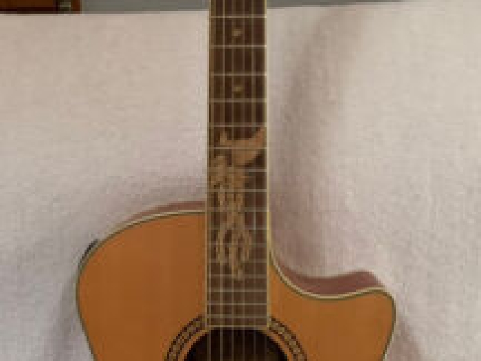 Guitare folk electro acoustique Grafter