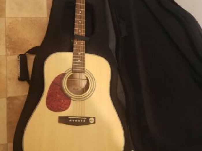 Guitare cort earth 70 lh ns
