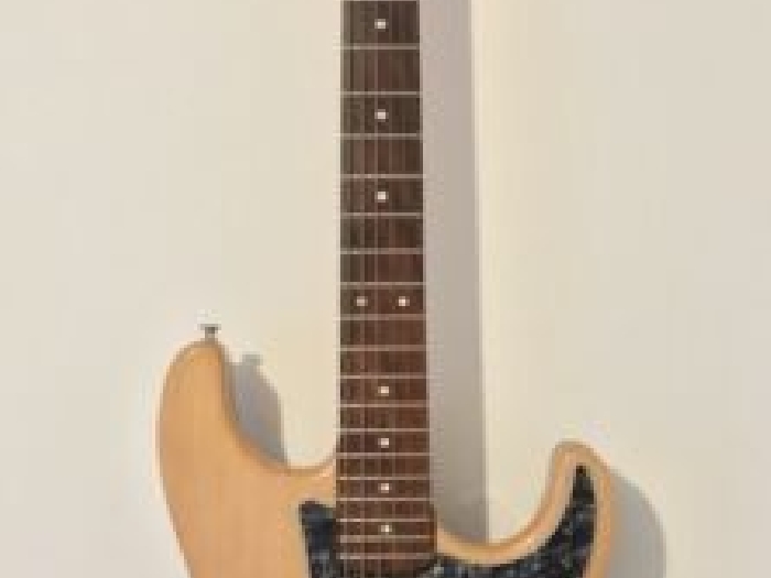 Guitare électrique type Fender Stratocaster solid body luthier Camb 