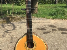 Guitare Vintage  Instrument du Monde avec carapace d'animal  old guitar