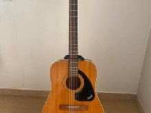 guitare acoustique vintage collection