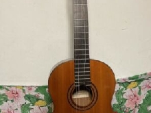 Guitare Yamaha G-231 II