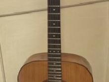 Guitare GIANNINI Brésil AWGS 716 Année 1979