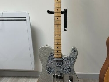 Telecaster Brad Paisley