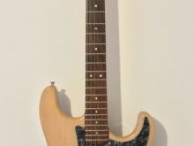 Guitare électrique solid body luthier Camb type Fender Stratocaster
