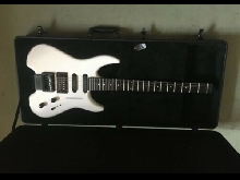 Steinberger GR4