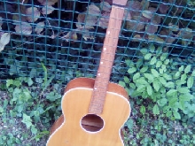  Crucianelli guitar vintage