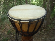 Master Djembe Solo Pro Africa Style Professional 