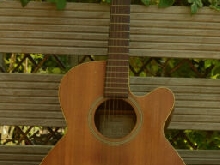 Takamine Guitare Folk / électro-acoustique Modèle EGS 430 SC - série G