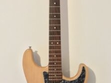 Guitare électrique solid body luthier Camb type Fender Stratocaster