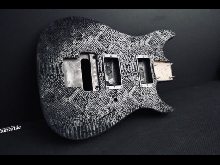 Warren DeMartini Snakeskin Body