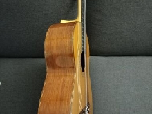 Dominique Delarue Guitare Grand Concert