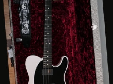 Fender Jim Root Artist Series Signature Telecaster Flat White